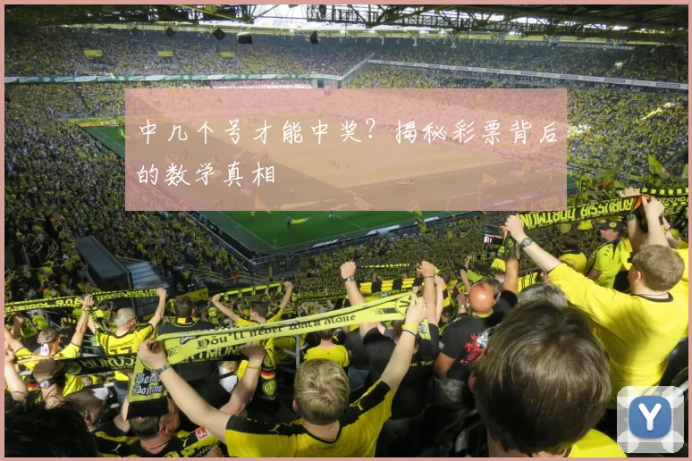 中几个号才能中奖?揭秘彩票背后的数学真相