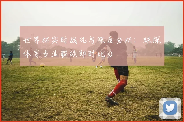 世界杯实时战况与深度分析:球探体育专业解读即时比分